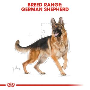 GERMAN SHEPHERD ADULT 11 KG