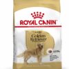 GOLDEN RETRIEVER ADULT 12 KG GOLDEN RETRIEVER ADULT 12 KG