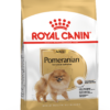 POMERANIAN ADULT 1.5 KG POMERANIAN ADULT 1.5 KG