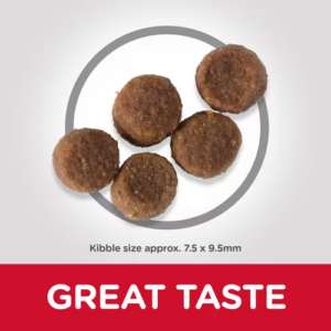 HILL'S SCIENCE PLAN MEDIUM PUPPY FOOD WITH CHICKEN 14KG